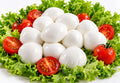 Bocconcini di mozzarella di bufala