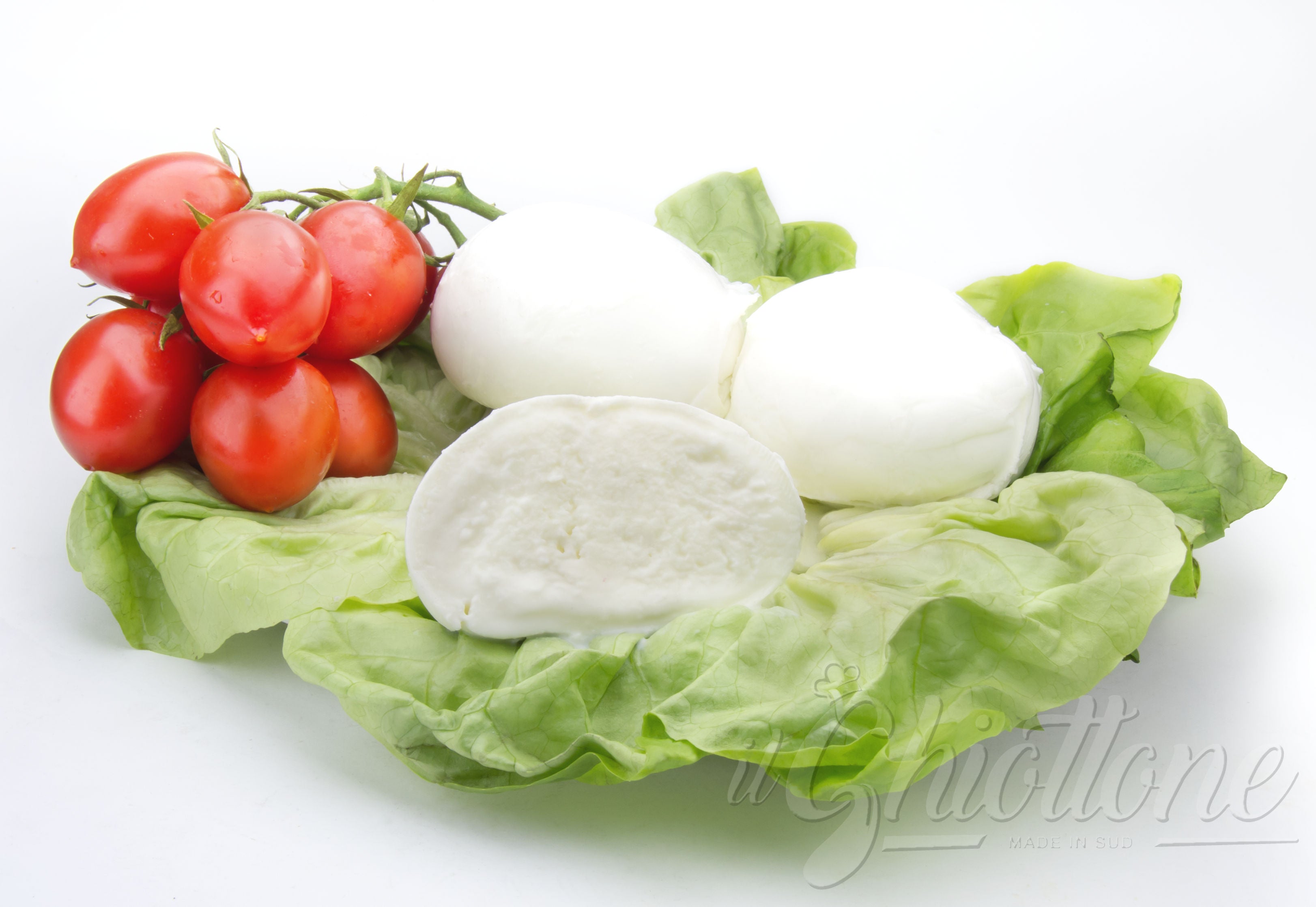 Mozzarella di latte di bufala